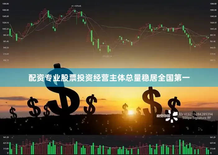 配资专业股票投资经营主体总量稳居全国第一